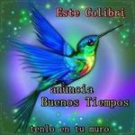 Graciela Elisa Sabater - @gracielaelisasabater - Instagram