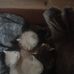 Elisa Saez - Facebook