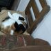 Elisa Saez - Facebook