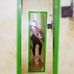 Elisa Saitta - Facebook