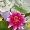 Elisa Salcedo - @elisa.salcedo49 - TikTok