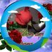 Elisa Sanchez - Facebook