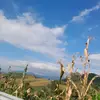 Elisa Sanchez - @elisa.sanchez646 - TikTok