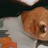 Elisa Santana - @elisa.santana483 - TikTok