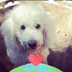 Elisa Santander - Facebook