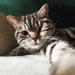 Elisabeth - @elisaschulz__ - Instagram