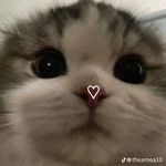 Yuki - @_elisa_simone - Instagram