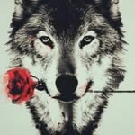 Elisa Stark - @_multifandomwhore_ - Instagram