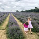 Elise Thornton - @ethornton - Instagram