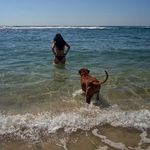 elisa townsend - @townsend3816tj - Instagram