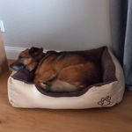 Elisa Voß - @voss5774 - Instagram