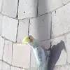 Elisavossmeier - @elisavossmeier - TikTok