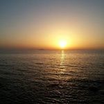 Elisa Ward - @elisa.ward - Instagram