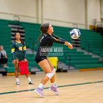 Elise Webster - @elise.webstervolleyball - Instagram