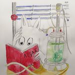 Elisa Werner - @gogreenphd - Instagram