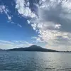 Elisa - @elisa_wu - TikTok