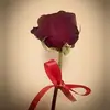 Elisa Wu - @elisawu1 - TikTok