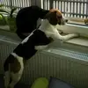 elisabethackerman5 - @elisabethackerman5 - TikTok