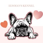 Elisabeth Andersson - @kennelelwigos - Instagram