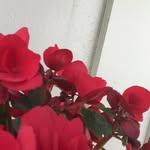 Elisabeth Damgaard Andreassen - @elisabethdamgaardandreassen - Instagram