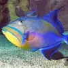 ElisabethAndreassen - @user1216384400138 - TikTok