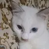 ElisabethAndreassen - @powloppztv6 - TikTok