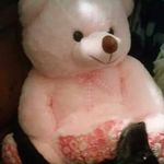 Elisabeth Armstrong Riveiro - @armstrongriveiro - Instagram