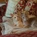 Elisabeth Bailey - Facebook