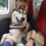Elisabeth Beardsley - @beardsley.elisabeth - Instagram
