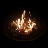 Elisabeth becker - @karianebecker27 - TikTok