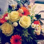 Elisabeth Becker - @elisabethbecker1950 - Instagram