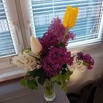 Elisabeth Becker - @elisabethbecker356 - Instagram