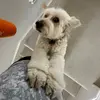 elisabeth.bell - @elisabeth.bell - TikTok