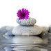 Elisabeth Blake - Facebook