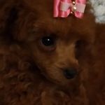 Elisabeth Blake - @elisabethblake010 - Instagram
