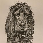 Elisabeth Cooper - @elisabethcooperportraits - Instagram