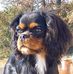 Elisabeth Cornu - Facebook
