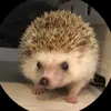 Elisabeth Cross - @elisabeth.cross - TikTok