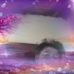 Elisabeth Freeman - Facebook