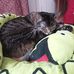 Elisabeth Hebert - Facebook
