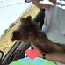 Elisabeth Helm - Facebook