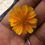 Elisabeth Joseph - @elisabethjoseph11 - Instagram
