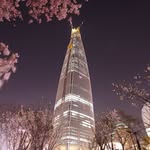 엘리자베스 - @elisabeth_kim_0 - Instagram