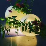 elisabeth.Kim - @elitopia72 - Instagram