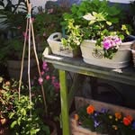 lizzielloyd1956@gmail.com - @elisabethlloyd56 - Instagram