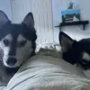 Elizabeth Mcleod - @elizabeth.mcleod8 - TikTok