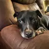 elisabethmurphyli - @elisabethmurphyli - TikTok