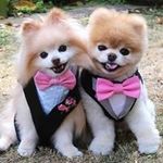 Elisabeth Peter - @elisabeth.peter.31 - Instagram
