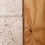 Elisabeth Polzella Architecte - @elisabethpolzellaarchitecte - Instagram