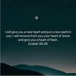 Elisabeth Wolf - Facebook